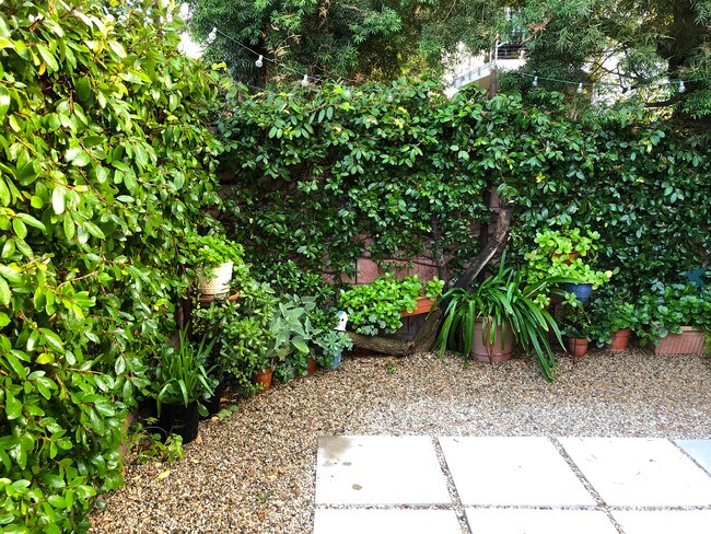 Ivy and plants - 4360 Stewart Ave