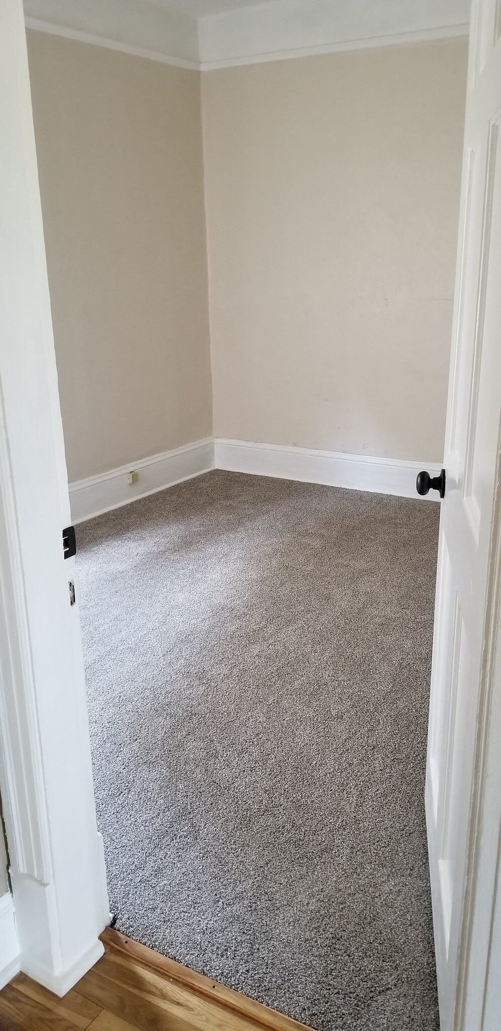 Building Photo - 1919 E Thomas St