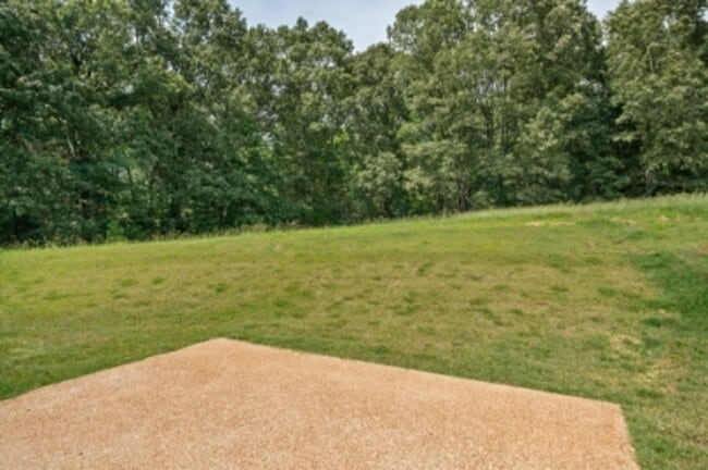 Building Photo - Spacious 4-Bedroom Home in Byhalia - Modern Living in a Tranquil Community!