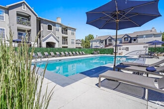 RESORT STYLE POOL | PRESTON HOLLOW - Preston Hollow