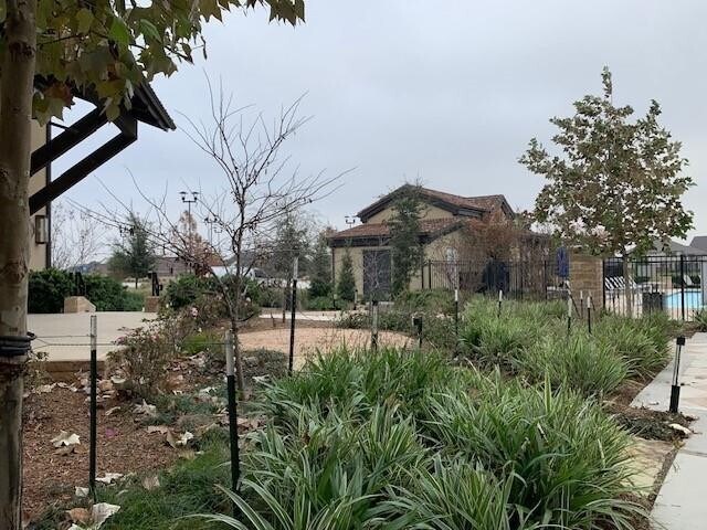 Building Photo - 13807 Dorado Pointe Dr