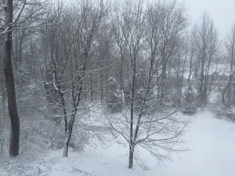View from deck, winter - 443 Lynetree Dr