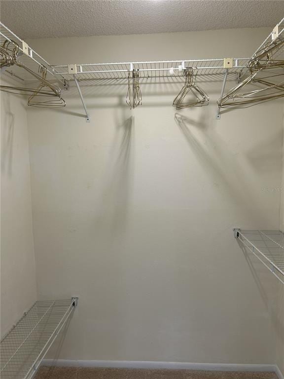 Building Photo - 1316 Pasadena Ave S