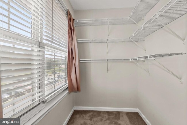 Building Photo - 6249 Sandpiper Ct