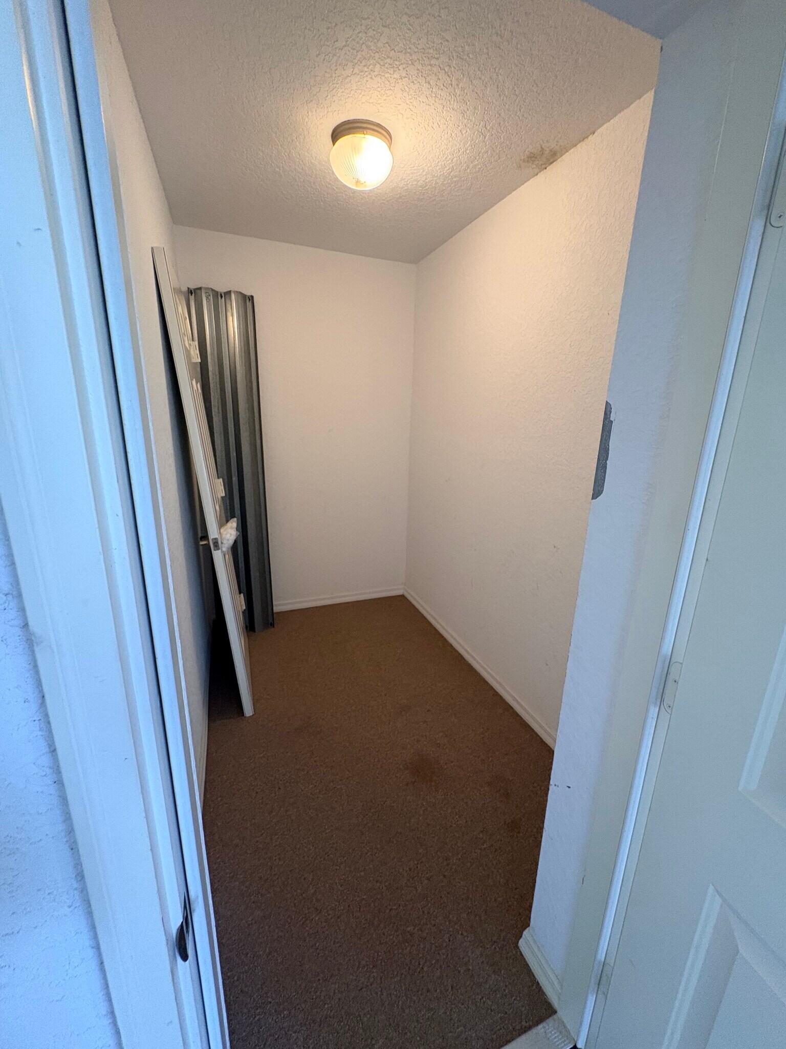 Building Photo - 533 Wayne Ave