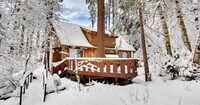 Building Photo - The Rockwell Cabin....Stream and bridge in...