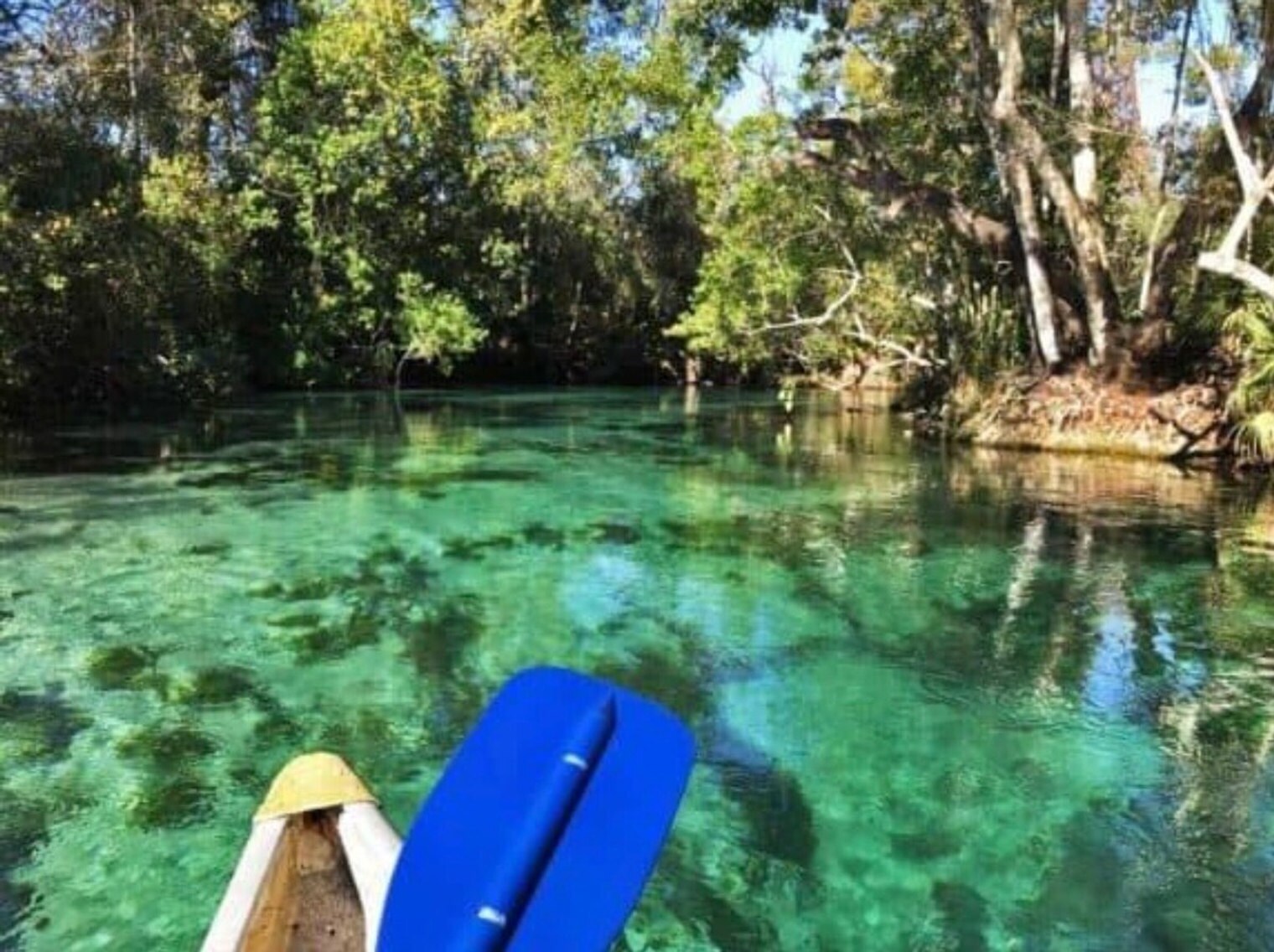 Building Photo - 10891 W Whitacre Ln