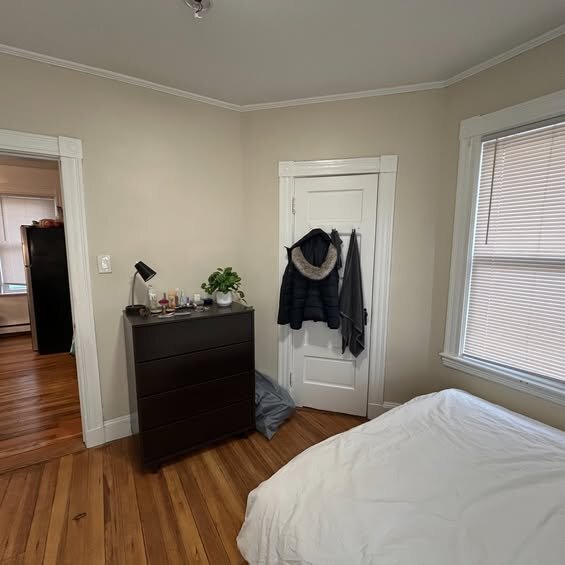 Building Photo - 11 Harold St