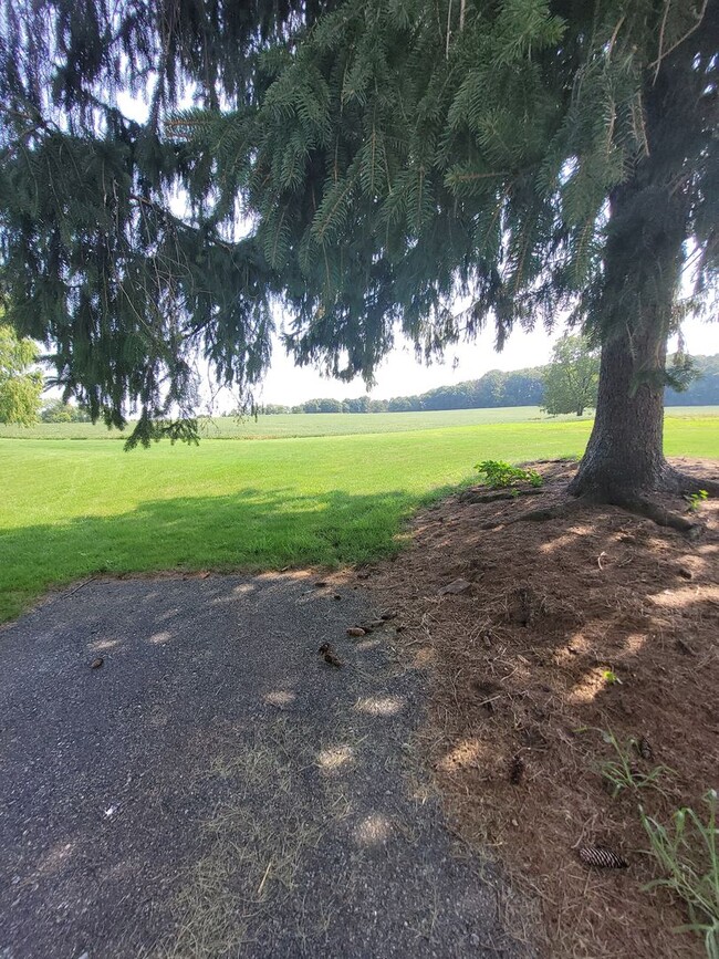 Building Photo - Country Views In Berks County-one pet allowed