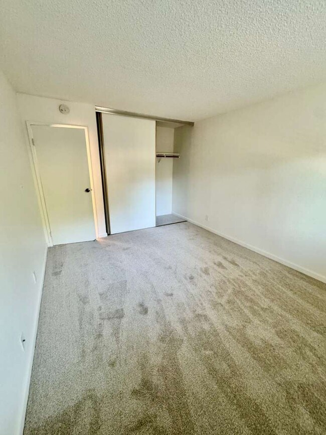 Building Photo - 481 Ignacio Blvd