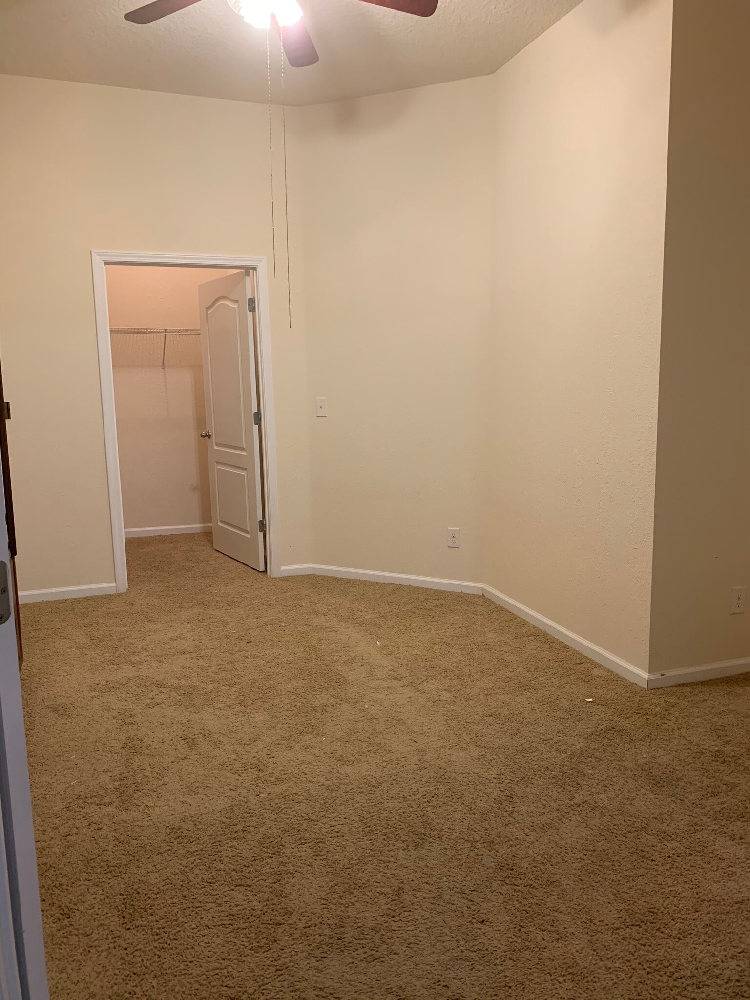 Third Bedroom/Study - 200 Larkin Place