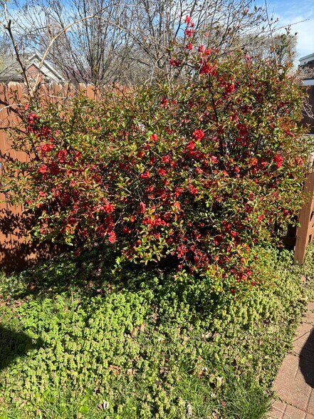 Building Photo - 163 Pope St