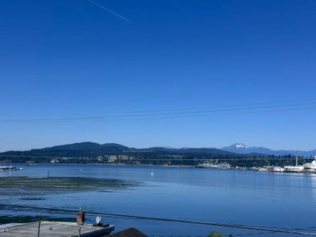 Building Photo - Completely Remodeled 3 Bedroom with Amazin...