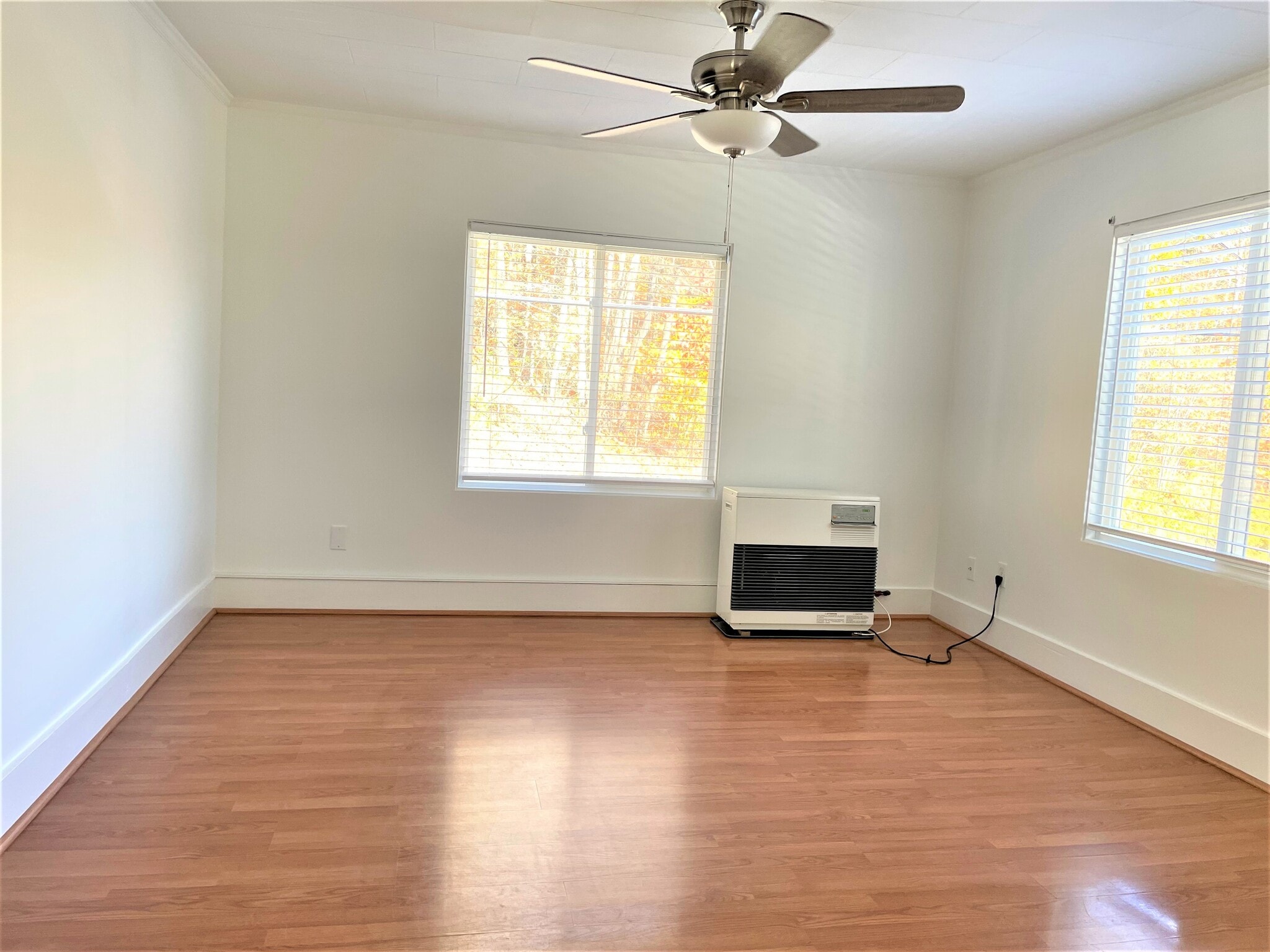 Building Photo - 210 Mount Vernon Ave