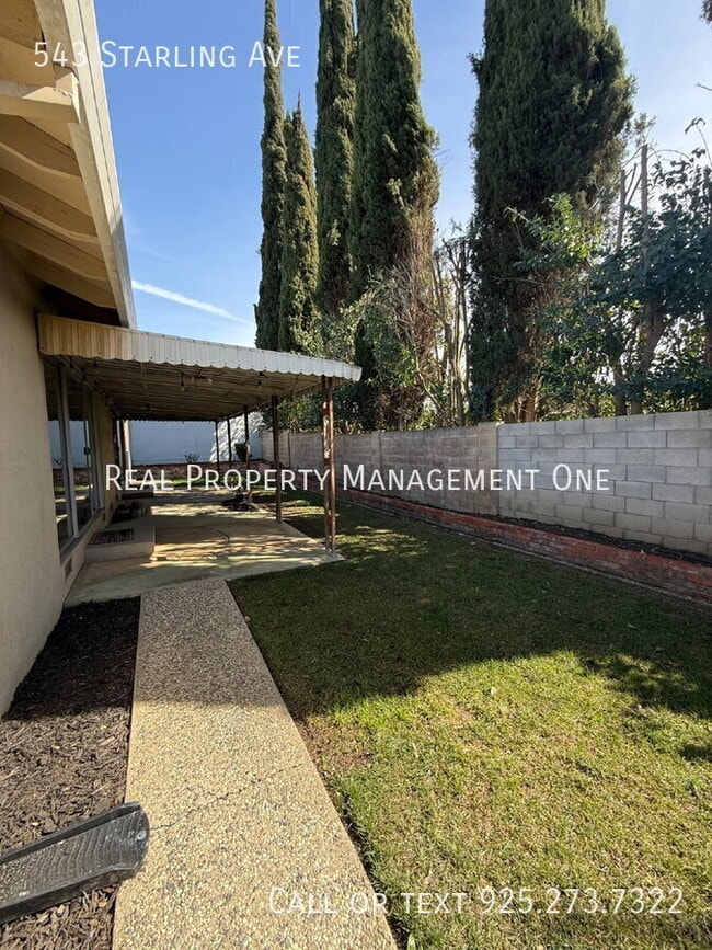 Building Photo - 543 Starling Ave