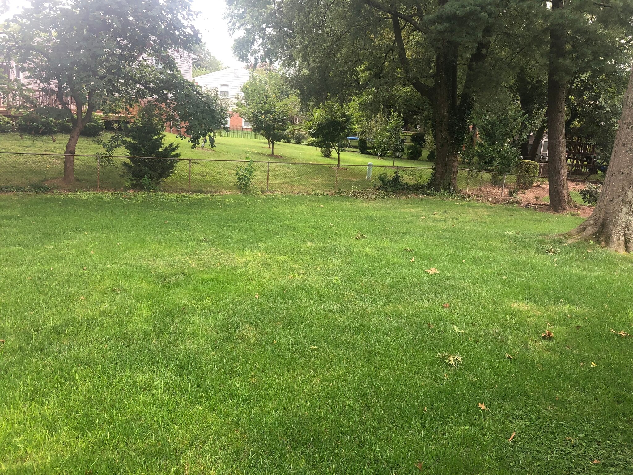 Backyard - 13711 Pennsboro Dr