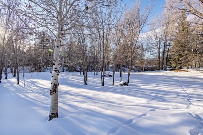 Building Photo - Price Reduced! Enchanting Log Cabin & Carr...