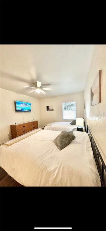 Building Photo - 611 S Seneca Blvd