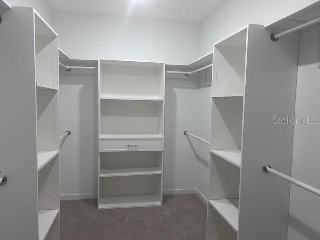 Building Photo - 6 Ararat Dr