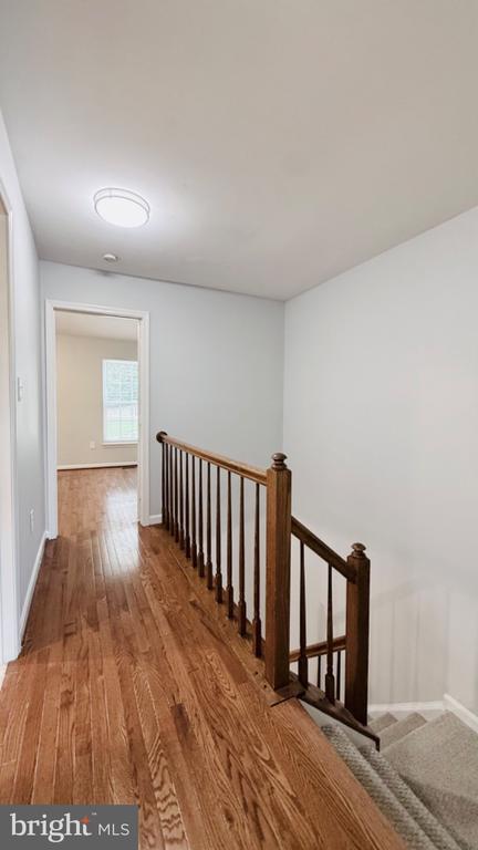 Building Photo - 13042 Hunterbrook Dr