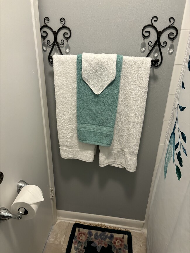 Ooo …just in case you forgot a shower towel. - 3515 Sable Palm Ln