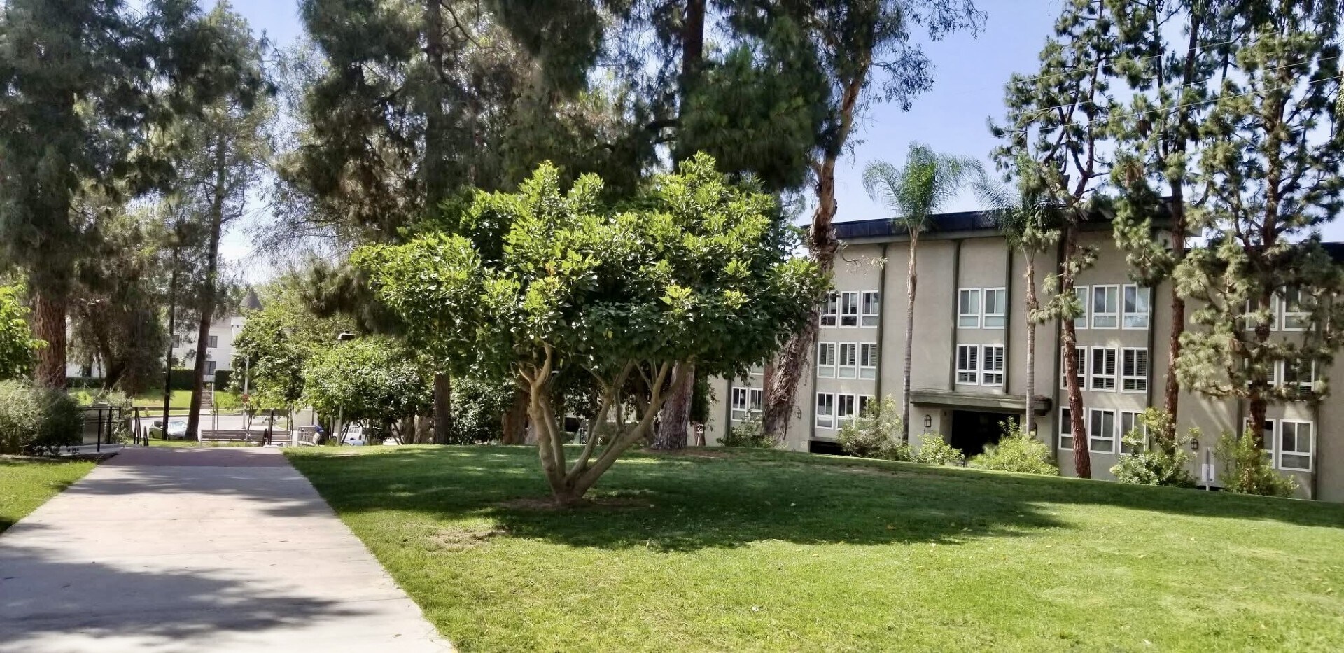 Building Photo - 4407 Francis Ave