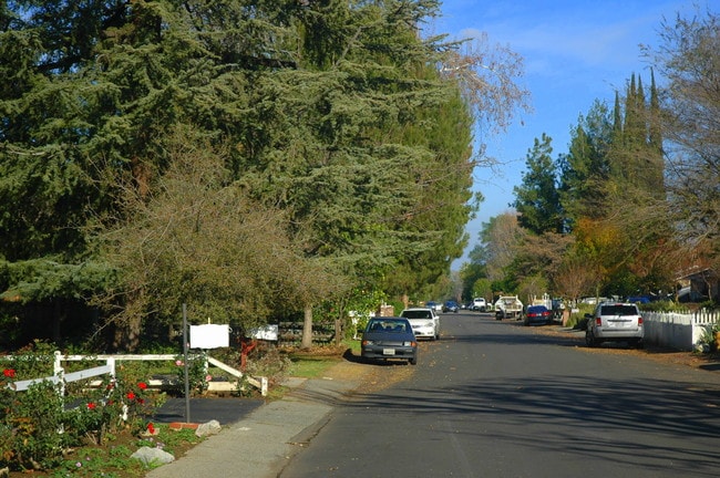 Building Photo - 23265 Leonora Dr