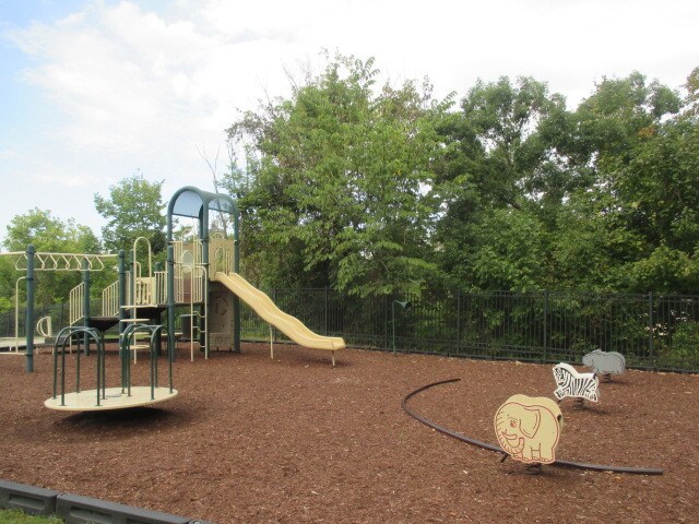 Fun Slides Carpet Skate Park Lil Burghers