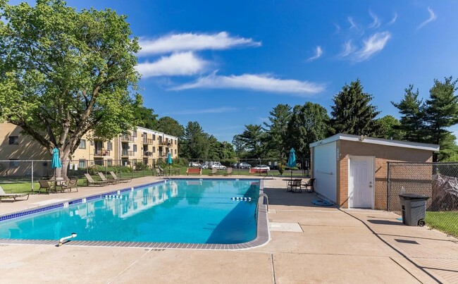 Pool and Sun Deck - 1575 W Street Rd