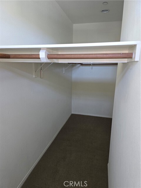 Building Photo - 2147 Cittadin Dr