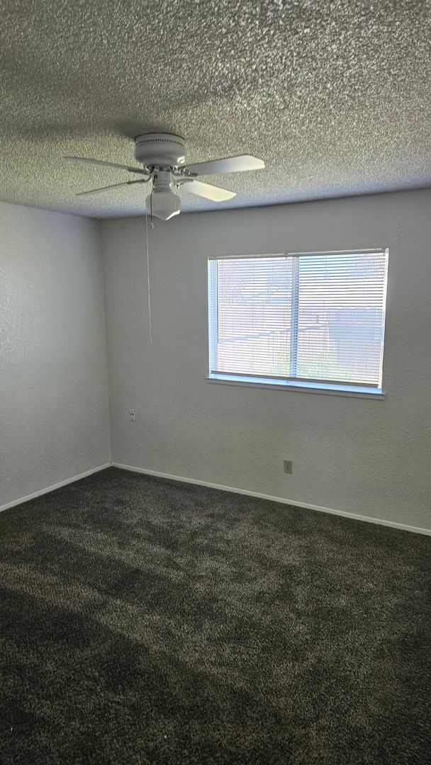 Building Photo - Spacious 3 bedroom with large backyard