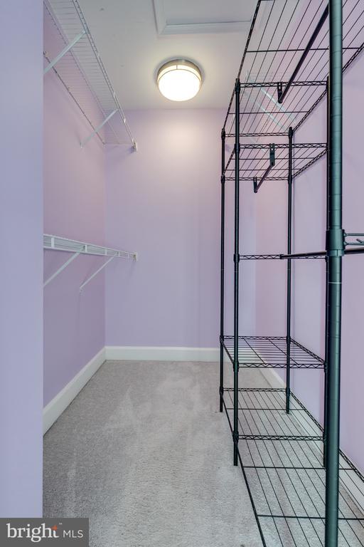 Building Photo - 2415 Terra Cotta Cir