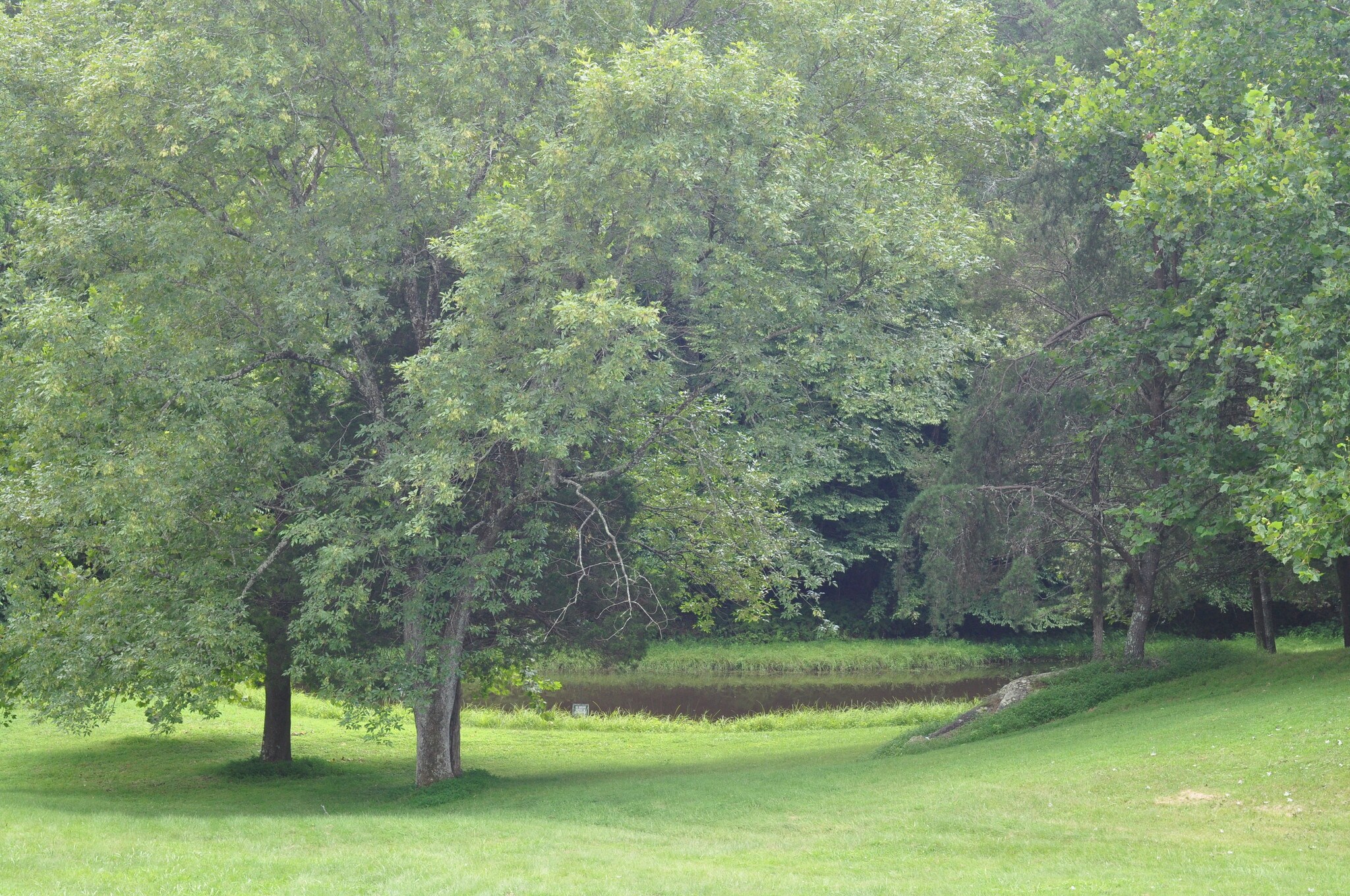 View of pond from duplex - 3967 Riverview Ln