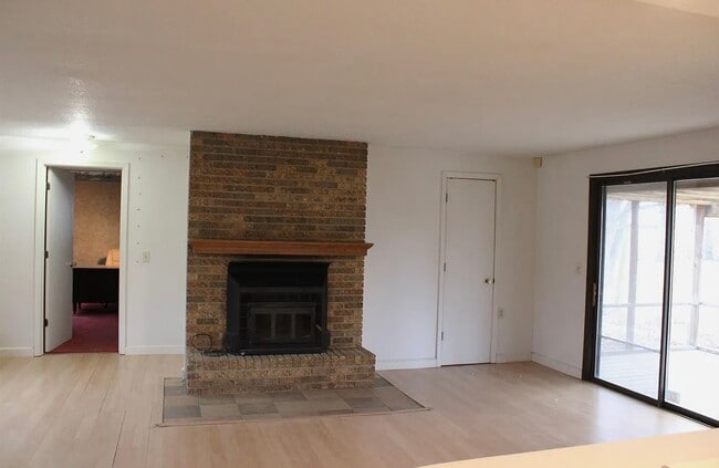 Wood fireplace - 15601 Bull Rapids Rd