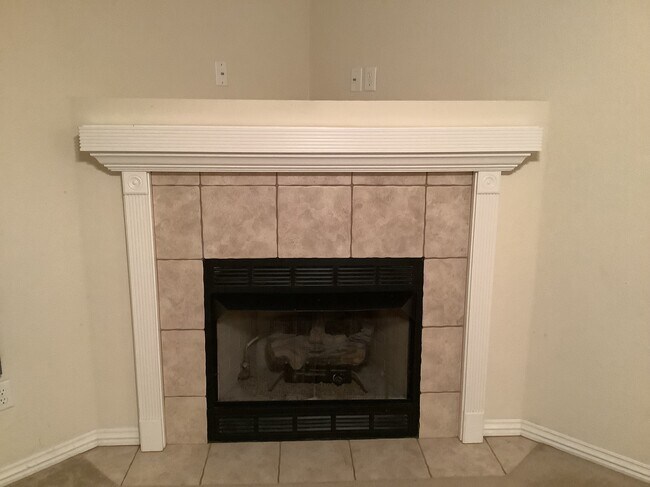 Gas fire place - 431 Firewood Dr