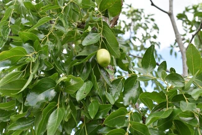 Building Photo - 26307 Meadow Dawn Ln