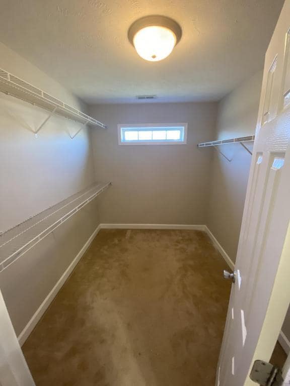 Building Photo - 5934 Lillytrotter Dr