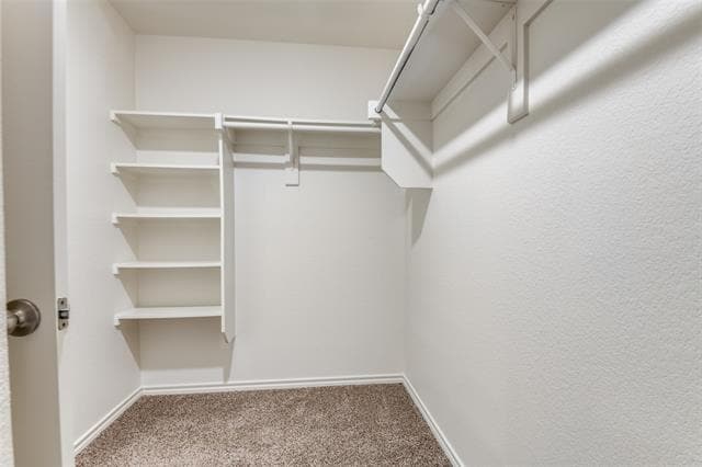 Building Photo - 1319 Lowhill Dr