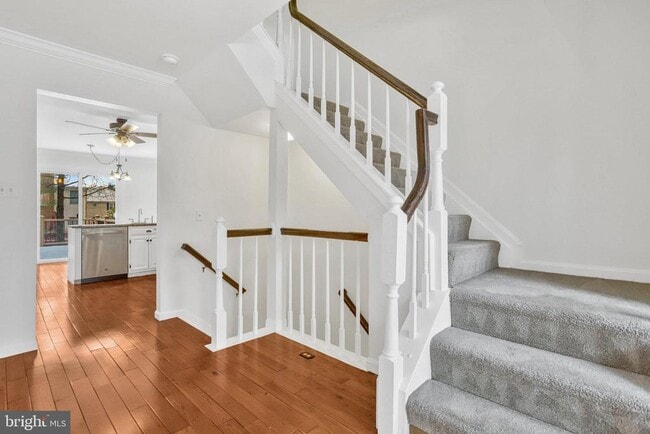 Building Photo - 7413 Salford Ct