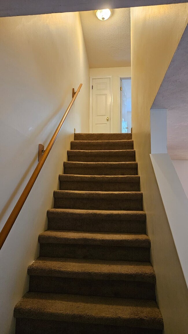 Building Photo - 165 Alice St