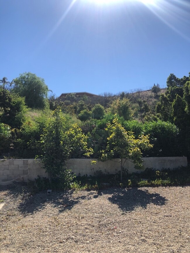 Building Photo - Hillside with Ocean View