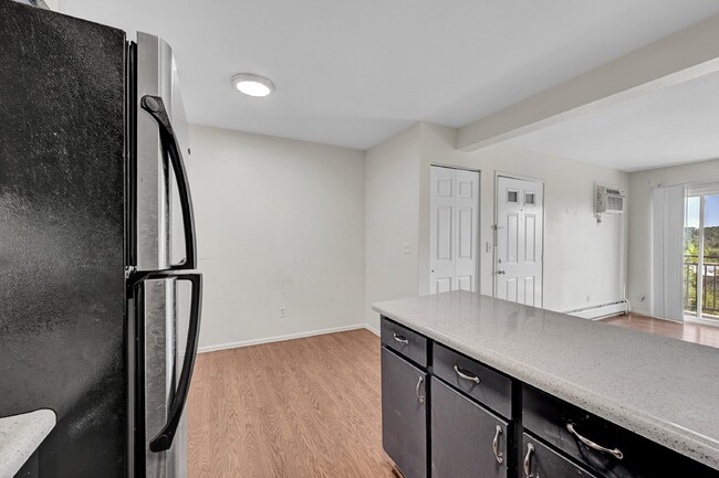 Building Photo - $940.95 with Half Off the first month's rent, 1 Bed, 1 Bath, Condo in Denver with Cozy Fireplace!