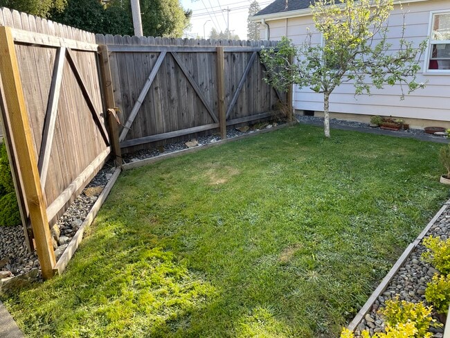 Shared Yard - 3543 Dolbeer St