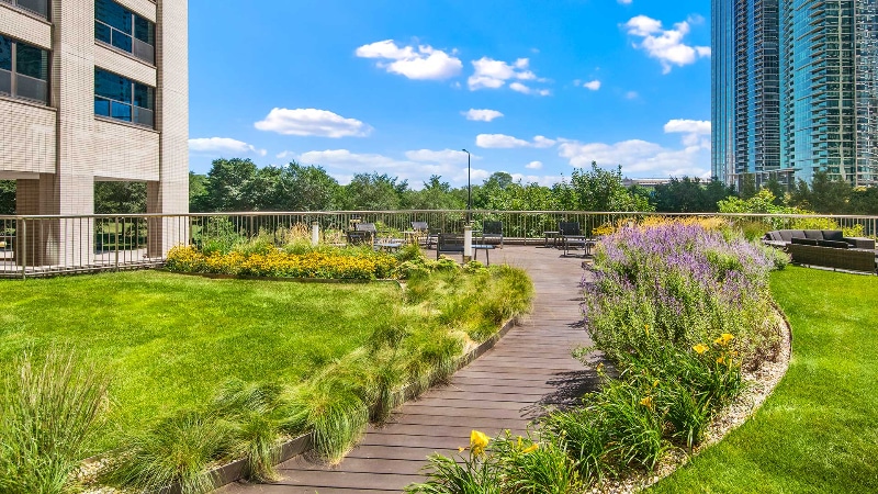 Building Photo - 1126 S Michigan Ave