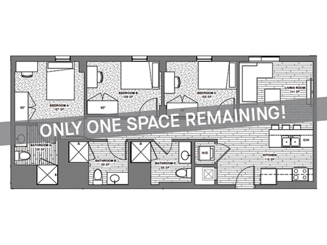 3x3 D - Only One Space Remaining! - Student | Rise at State College