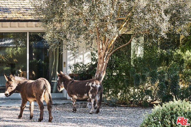 Building Photo - 6715 Fernhill Dr