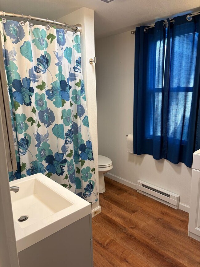 Building Photo - Newly Remodeled Two Bedroom with Sun Room!