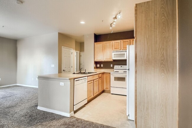 Building Photo - Nice 1 bedroom Condo in Parker