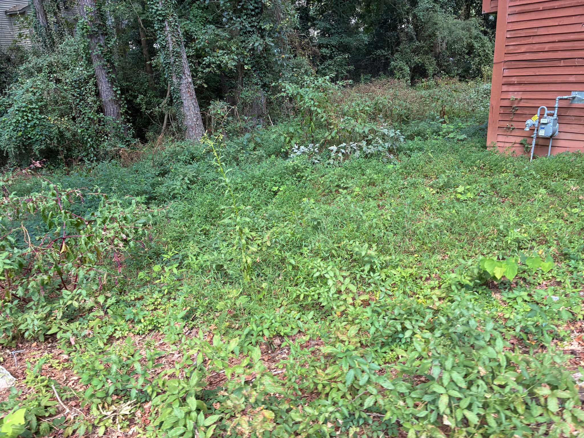 Building Photo - Room in Townhome on Terrace Trail