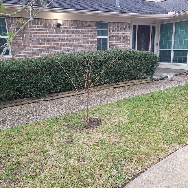 Building Photo - 1006 Walnut Bend Ln